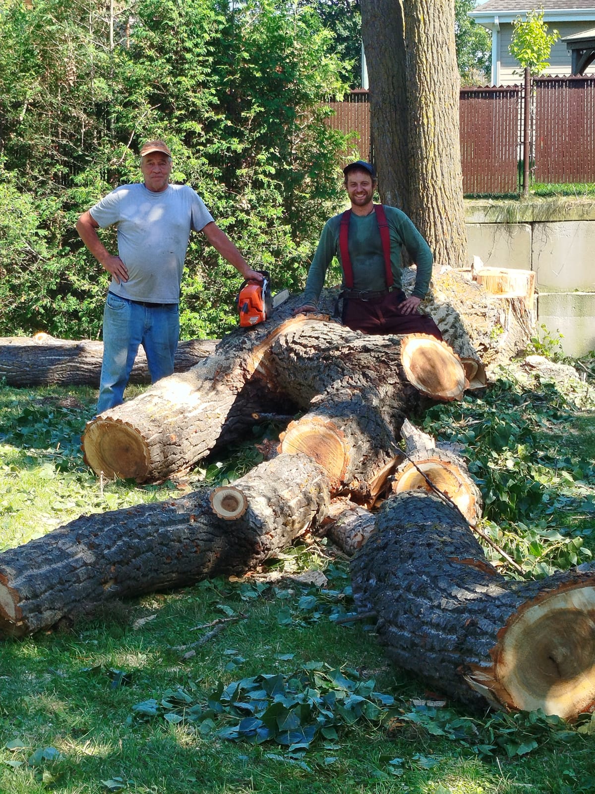 pruning service 6